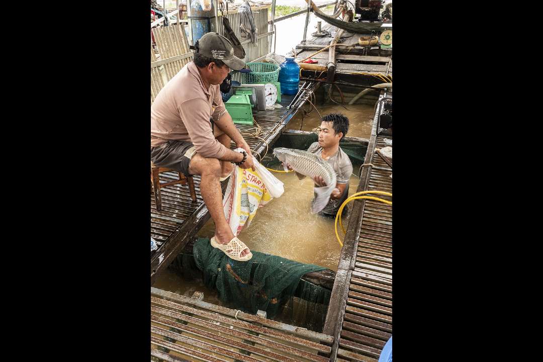 Vietnam Vietnam